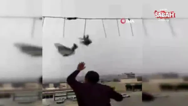 Asılı kalan güvercinleri canını hiçe sayarak kurtardı | Video