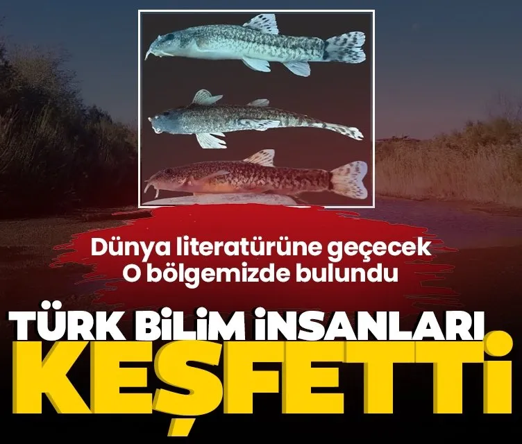 Türk bilim insanları keşfetti: O bölgemizde bulundu! Dünya literatürüne geçecek