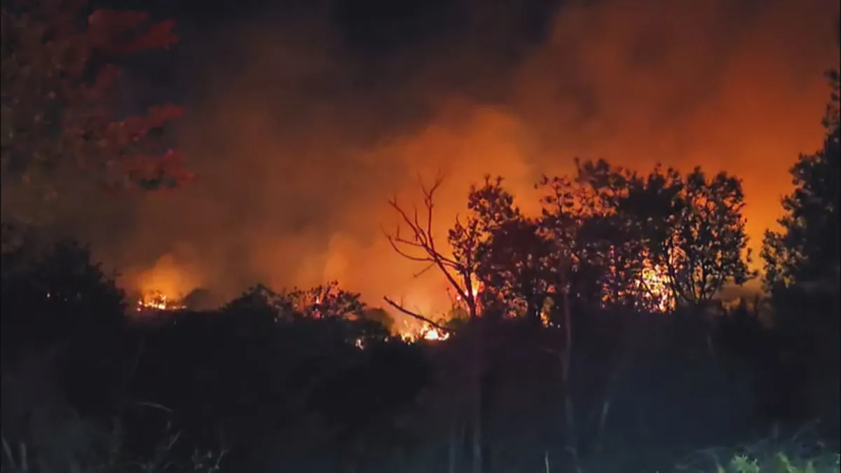 Beykoz’daki orman yangını: Alevler rüzgarın etkisiyle yeniden yükseldi Beykoz’daki orman yangını: Alevler rüzgarın etkisiyle yeniden yükseldi