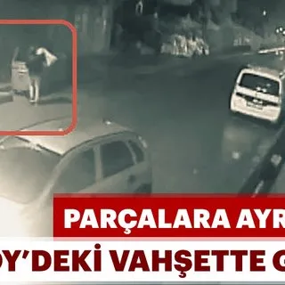 Kadıköy'de parçalanmış ceset vahşetinde müebbet istemi