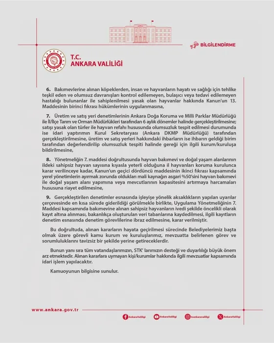 Ankara’da ‘sahipsiz hayvanlar’ için karar alındı: Tam 71 bin 695 TL ceza!