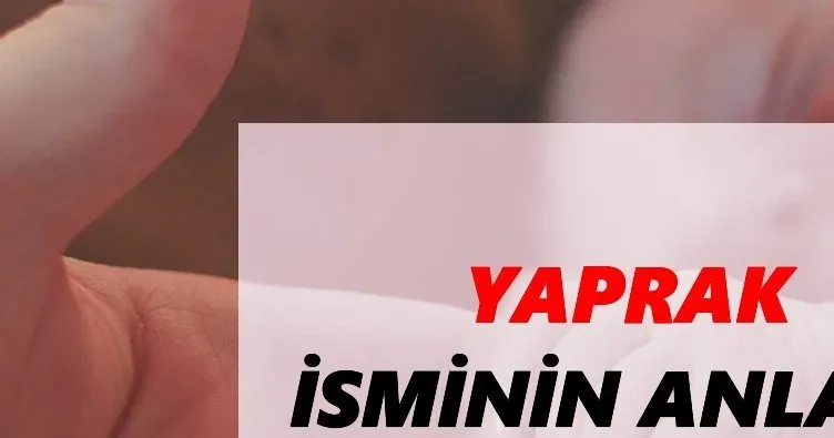 Yaprak İsminin Anlamı Nedir? Yaprak Ne Demek - Kuran’da Geçiyor Mu?