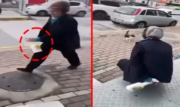 Gel annem diyerek dehşet yaşatmıştı! Sokak kedisine yaptığı kan dondurdu: Market çalışanı adli kontrol şartıyla serbest