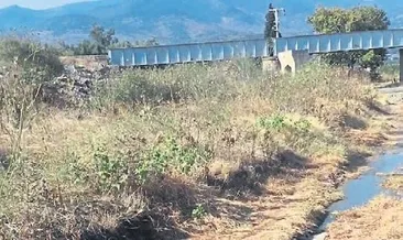 Çevre katliamına bakanlık el koydu