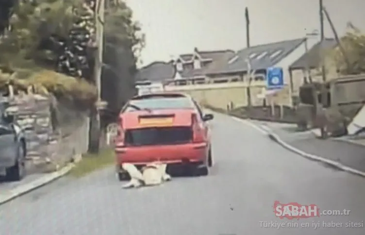 Yok böyle vahşet! Husky cinsi köpeğini arabanın arkasına bağladı, metrelerce sürükledi…