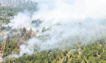 Orman yangınlarına karşı duyarlılık önemli