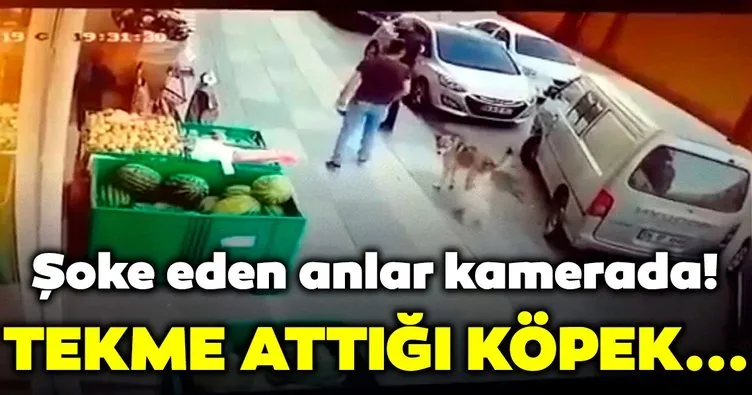 Şoke eden anlar kamerada! Süs köpeğiyle dalaşan sokak köpeğine tekme attı