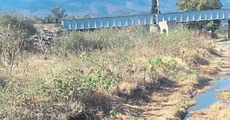 Çevre katliamına bakanlık el koydu