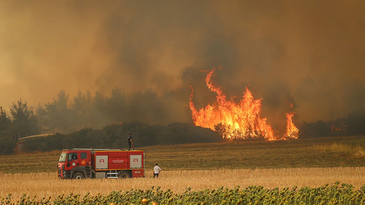 Şarköy'deki orman yangınına havadan ve karadan müdahale sürüyor! Bakan Yumaklı bölgede