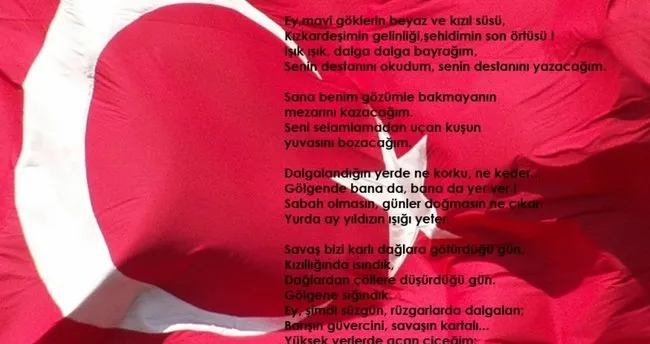 Türk şiiri nedir?