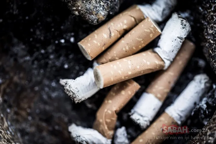 Bu haber size sigarayı bıraktıracak! İşte sigara dumanının ciddi zararları