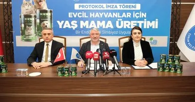 Çorum Belediyesi kedi ve köpekler için yaş mama üretim tesisi kuracak #corum