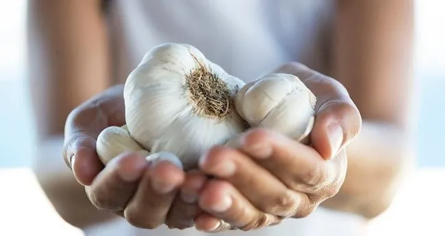 Sarımsak Faydaları – Sarımsağın Faydaları Nelerdir, Ne İşe Yarar ve Hangi Hastalıklara İyi Gelir?
