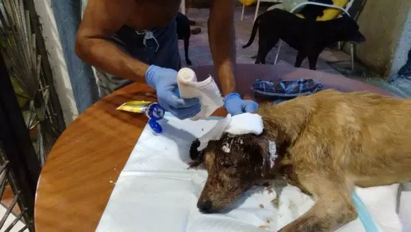 Bakın nasıl değiştiler?