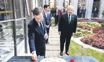 Karanfil yetmez hainleri gönder