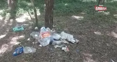 Piknikçiler ormanları çöplüğe çeviriyor | Video