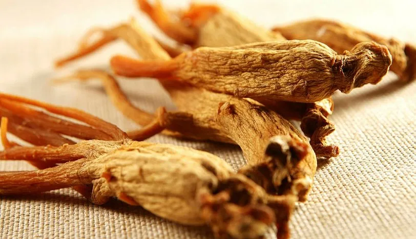 Ginseng