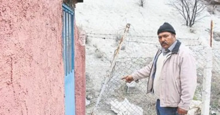 Burdur Haberleri: Barınağa konulan köpek çalındı 44
