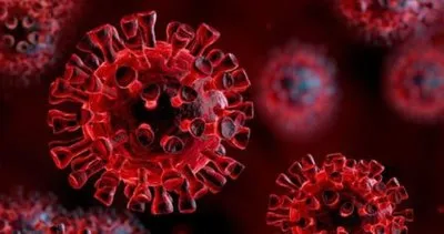 Bakan Fahrettin Koca son dakika DUYURDU! 12 Mart koronavirüs tablosu nasıl? 12 Mart korona tablosu ile bugünkü Türkiye vaka ve vefat sayıları