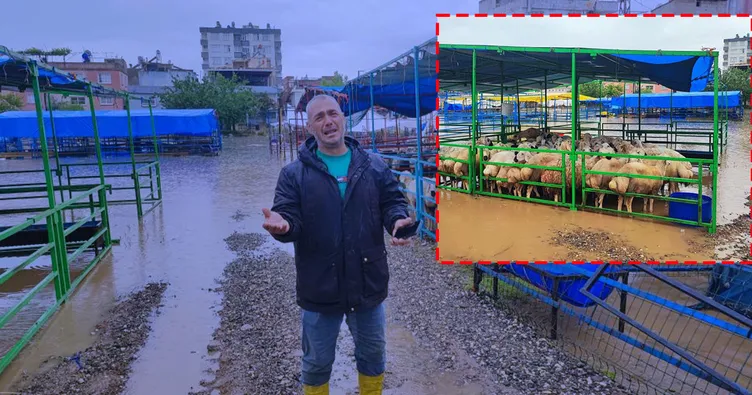 Adana’yı sağanak vurdu! Kurban pazarları göle döndü: Besici gözyaşlarına boğuldu