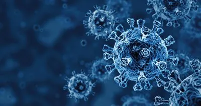 Corona virüs mutasyonunda neler değişti? Virüs nasıl daha bulaşıcı hale geldi?