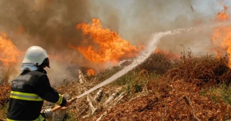 Afrin’de orman yangını kontrol altına alındı