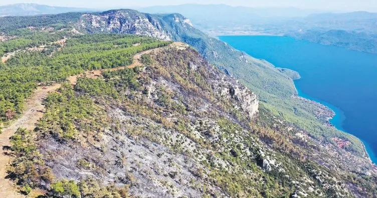 Yangın şeridi alevlerin önünü kesti