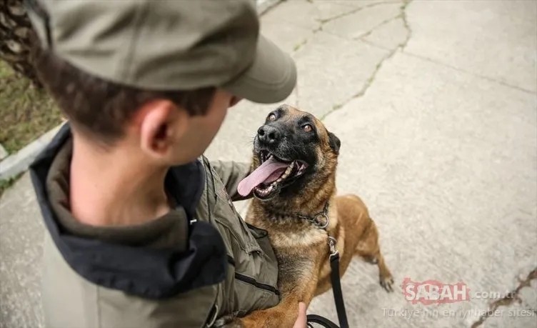 Terörle mücadelede köpekler etkin rol oynuyor