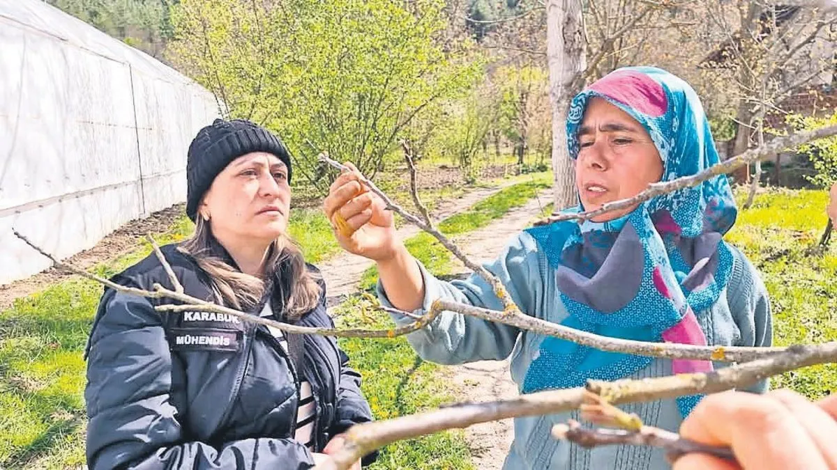 Zirai don alarmı