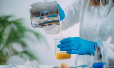 Bir arı mucizesi  propolis