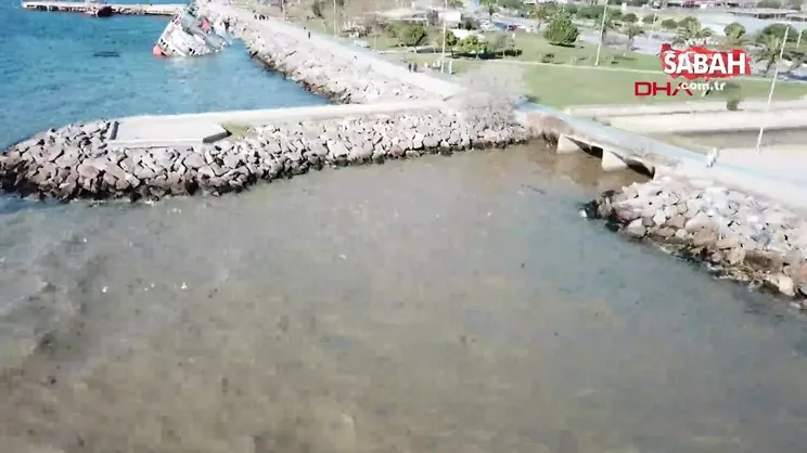 Maltepe'de şaşırtan görüntü! Deniz kahverengi oldu | Video