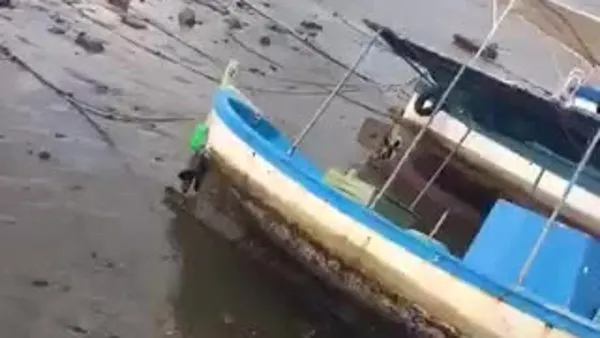 Izmir De Deniz 30 Metre Geri Cekildi Video Videosunu Izle Son Dakika Haberleri