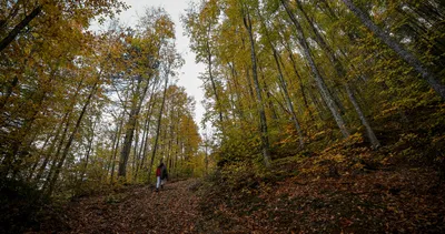 Uludağ sonbaharda da göz kamaştırıyor
