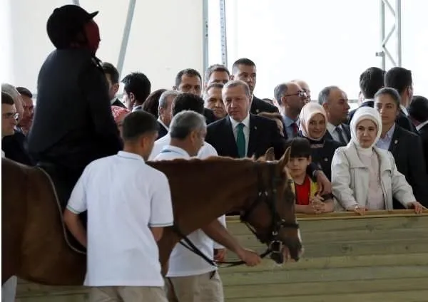 Katar emirinden Cumhurbaşkanı’na 53 Arap atı hediyesi