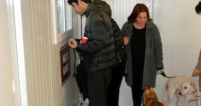 Hayvan Hastanesi Yeniden Hasta Kabulune Basladi En Son Haber