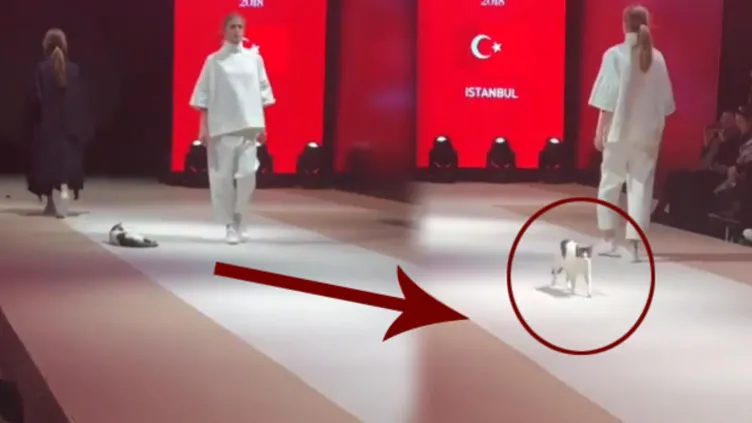 Catwalk yürüyüşü böyle yapılır!