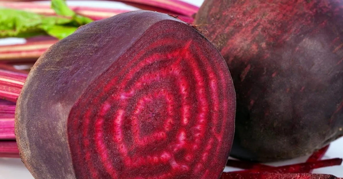 beyin fonksiyonlarini yenileyen tek