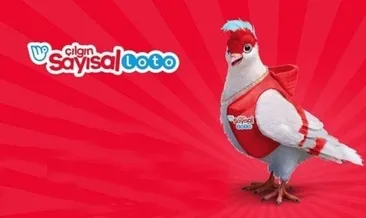 SAYISAL LOTO SONUÇLARI SORGULAMA EKRANI! Milli Piyango İdaresi ile 12 Kasım 2022 dünün Çılgın Sayısal Loto sonuçları bilet sorgulama