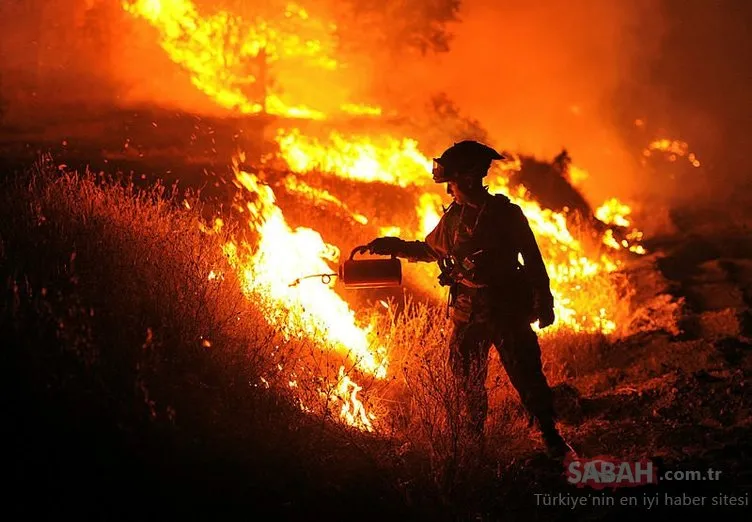 California’daki orman yangınlarında bilanço ağırlaşıyor