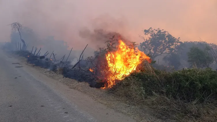SON DAKİKA: Hatay, Mersin ve Çanakkale'de orman yangını! Alevlerle mücadele sürüyor: Bakanlar son bilançoyu açıkladı