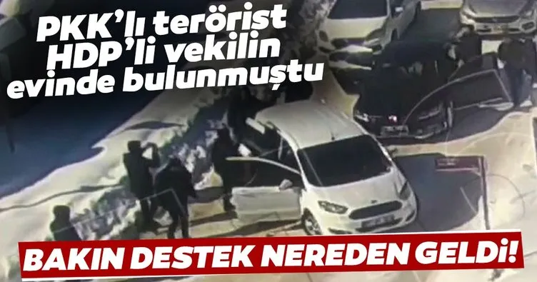 Evinde terörist yakalanan HDP’liye CHP desteği!