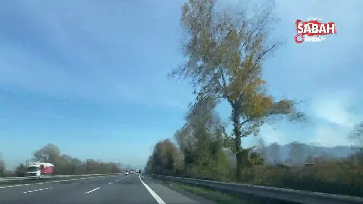Sakarya'da güz renklerine bürünen kavak ağaçlarından sonbahar resitali | Video