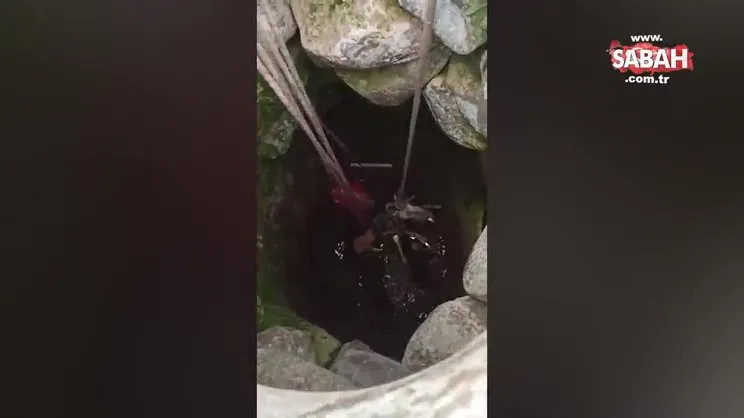 Kuyuya düşen keçiyi itfaiye kurtardı | Video