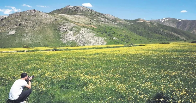 Doğu’da yaz renk şöleni gibi