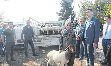 Beni çok mutlu ettiniz