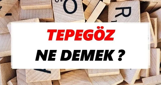 Tepegöz Ne Demek? TDK’ya Göre Tepegöz Sözlük Anlamı Nedir?
