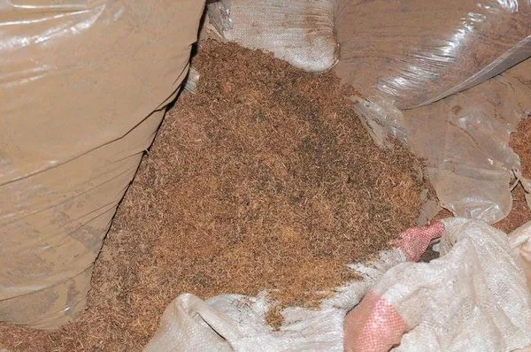 Kullanılmış çayları yeni gibi vatandaşa içireceklerdi