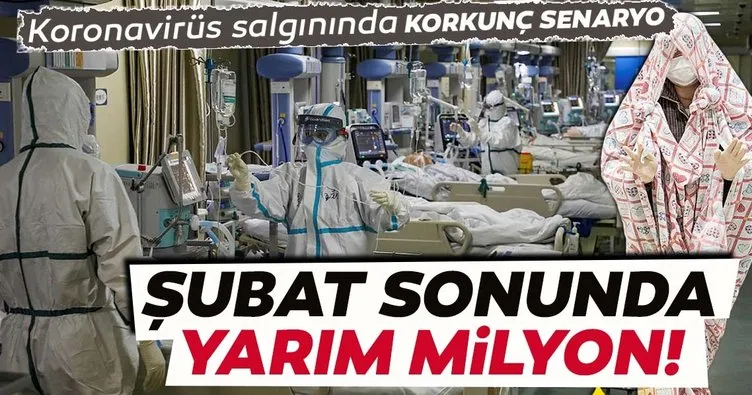 Koronavirüs salgınında korkunç senaryo: Şubat sonunda yarım milyon hasta olacak