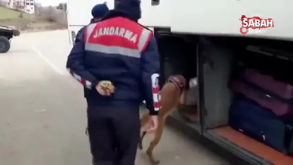 Narkotik köpeği 'Resim' ile yapılan aramada 4 buçuk kilogram esrar ele geçirildi | Video
