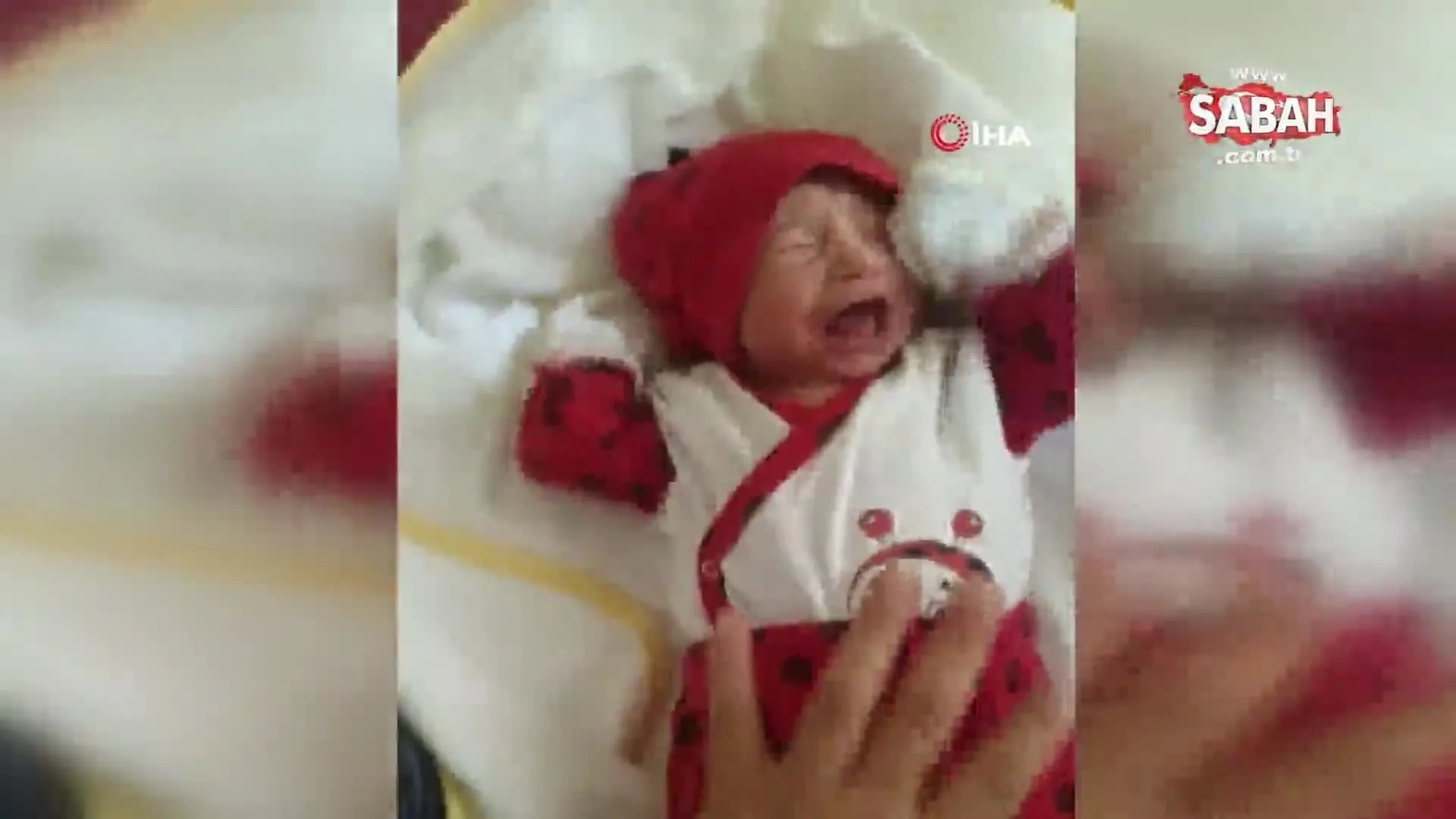 antalya da cani baba 3 aylik kizi elif ada yi doverek oldurdu video videosunu izle son dakika haberleri